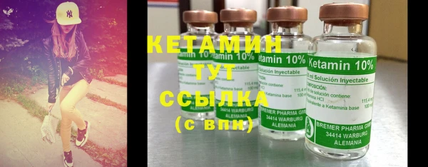 прущие грибы Шали