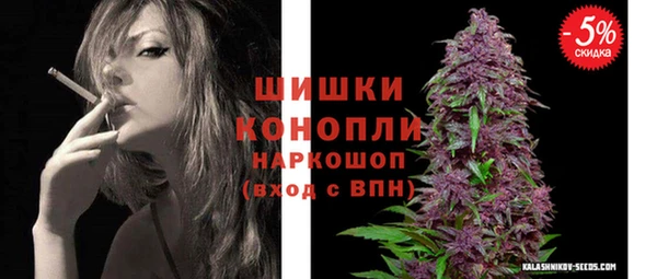 прущие грибы Шали