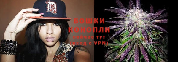 прущие грибы Шали