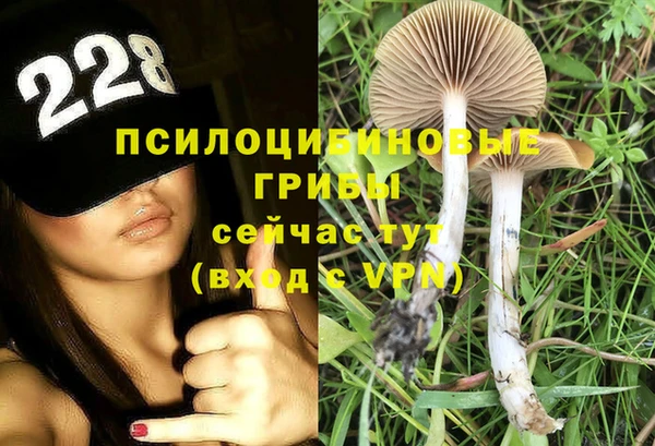 гашишное масло Шадринск