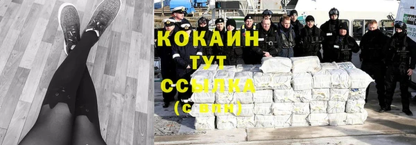 прущие грибы Шали