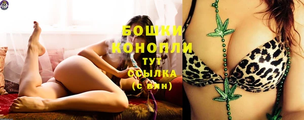 прущие грибы Шали