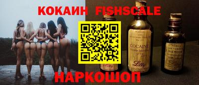 мдпв Кингисепп