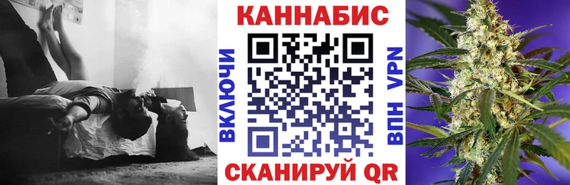где найти   Красногорск  Бошки Шишки план 